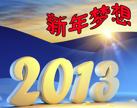 合肥市琥珀小学—“新年的梦想”手抄报比赛获奖名单